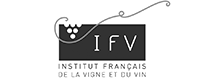 IFV