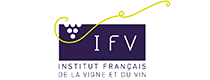 IFV